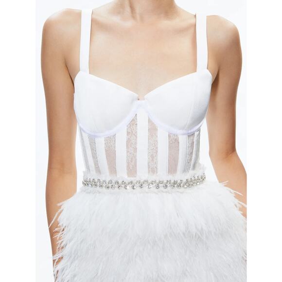 ALICE + OLIVIA XIA SHEER BUSTIER CRYSTAL FEATHERED STRAPLESS MINI DRESS SIZE 12 - Picture 5 of 11
